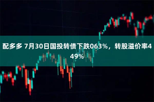 配多多 7月30日国投转债下跌063%，转股溢价率449%