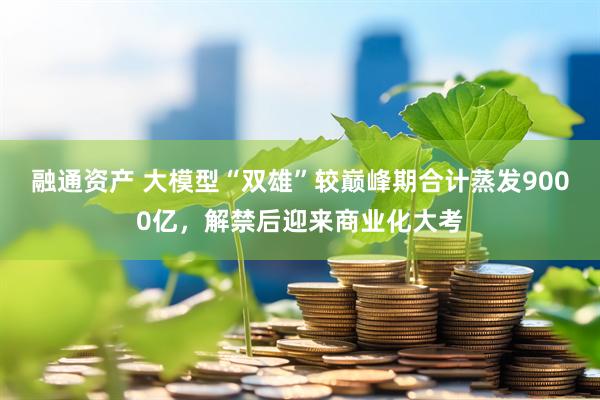 融通资产 大模型“双雄”较巅峰期合计蒸发9000亿，解禁后迎来商业化大考